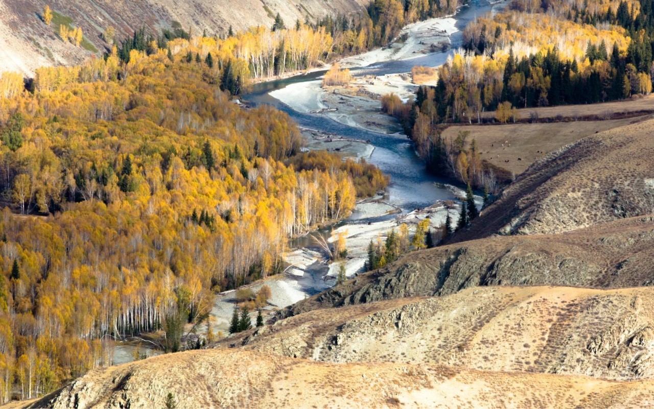 新疆古城风情街景掠影